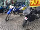 eles.webp