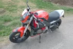 P1010980xs.webp
