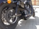 DSCN7715.webp