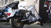 DSC02290.webp