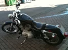 la foto1.webp