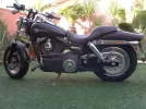 FB Rojito 1.webp