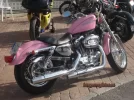 harley_rosa.webp