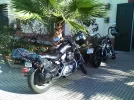 DSC_0080.webp