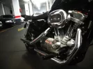 2 colas Pipe.webp