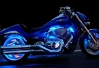 M109_blue_stingers_01_small2.webp