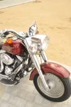 cabezon.webp