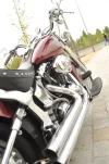 closeup.webp