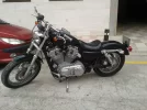 harleymol.webp