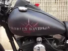 DSCF0099.webp