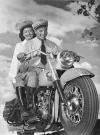 hidra_glide_1959harley-davidson_370.jpg