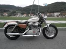 Harley.webp