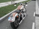 Harley 2.webp