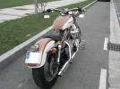 Harley 2.webp