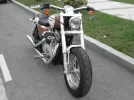 Harley 1.webp