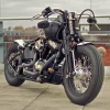 harley-softail-1.webp