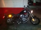 img1066j.webp
