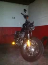 img1122d.webp