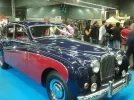 Jaguar.webp