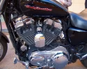 Sporter 1200C e.webp