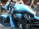blue rod bcn - copia - copia.webp