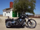negra2.webp