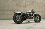 Firestone Deluxe1.webp
