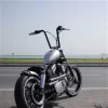 Sportster bobber.webp