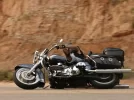 Piñata Softail.webp
