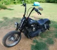 Dyna Springer Apes.webp