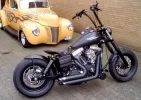 Dyna Springer Seat2.webp