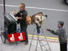 psoe.webp