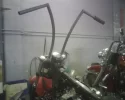 blackline Apes6.webp