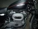 Harley1.webp