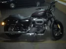 Harley2.webp