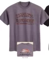 camiseta.webp