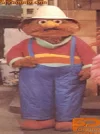 don pimpon.webp