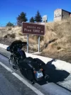 Pico.webp