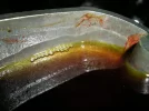 DSCN3219.webp