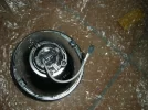 DSCN3227.webp