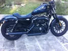 harley.webp
