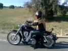 Pedro01.webp