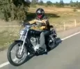 Pedro02.webp
