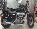 Imagen harley.webp