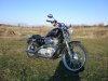 mi harley 2.jpg mi harley 2.jpg