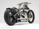 BrassBalls-CoBike1a.webp