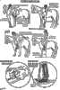 montar.gif