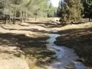 arroyo.webp