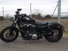 P1012069.webp