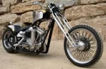 Wings Of Freedom999.webp